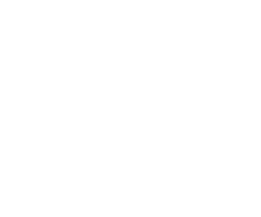 data-white-icon