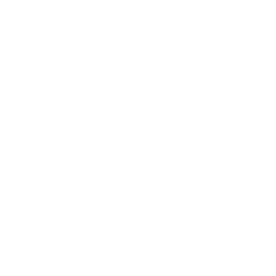 money-white-icon